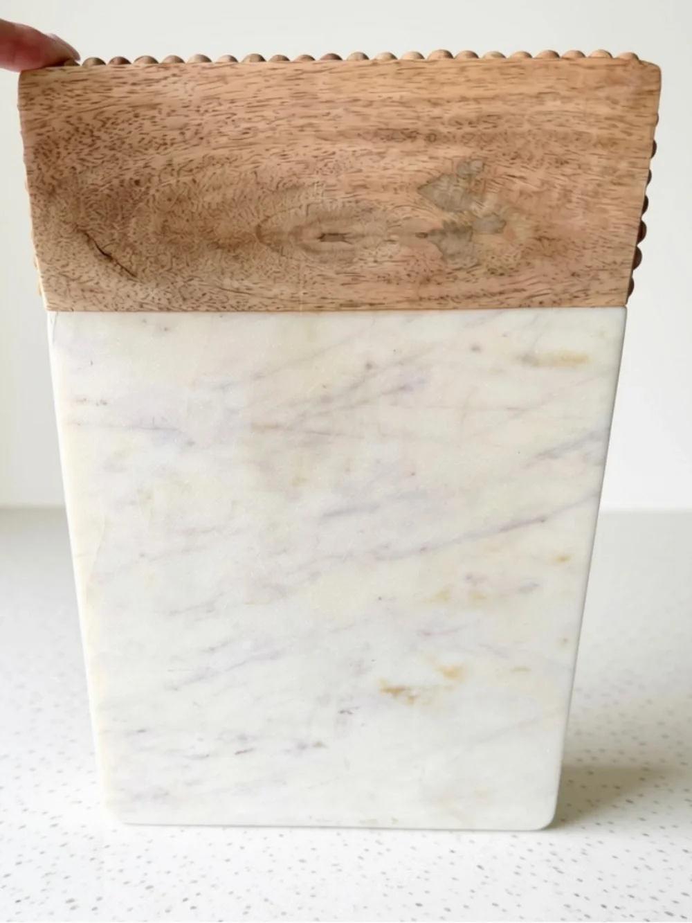 Mud Pie rectangular mango